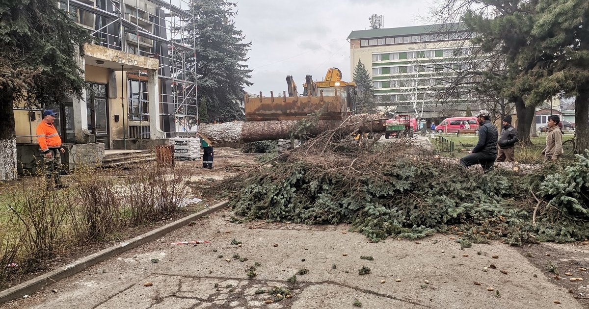 Fákat vágtak ki, kell a hely a víztárolónak